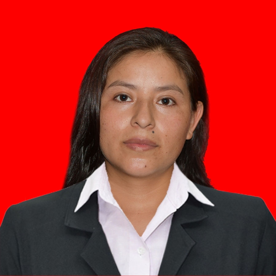 Lizeth Mamani Paredes